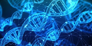 /NOVICE/dna-.jpg