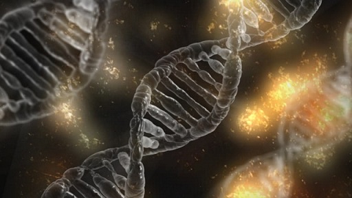 /NOVICE/dna-Pixabay_512.jpg